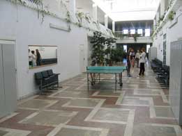 �������� ���������������